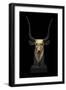 Egypt, Thebes, Luxor, Valley of the Kings, Tomb of Tutankhamon, Gold Head of Cow-Goddess Hathor-null-Framed Giclee Print