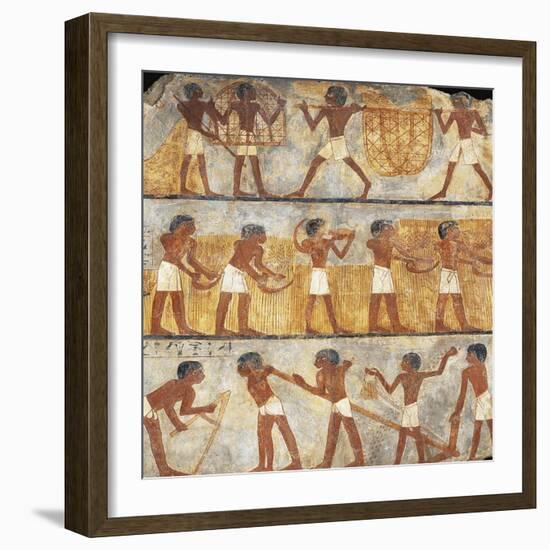 Egypt, Thebes, Tomb of Unsu, Scene of Sowing and Harvesting-null-Framed Giclee Print