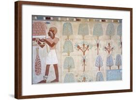 Egypt, Tomb of Army Commander Amenemheb Meh, Mural Painting Representing Garden-null-Framed Giclee Print