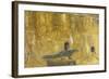 Egypt Valley of the Kings, Tomb of Seti I, Mural Paintings from 19th Dynasty in Burial Chamber-null-Framed Giclee Print