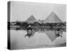 Egypt, Village and pyramids during the flood-time, c.1890-1900-null-Stretched Canvas