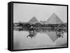 Egypt, Village and pyramids during the flood-time, c.1890-1900-null-Framed Stretched Canvas