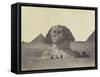 Egypte, le Sphinx-Felice Beato-Framed Stretched Canvas