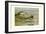 Egyptian and Orinoco Goose-Louis Agassiz Fuertes-Framed Art Print