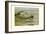 Egyptian and Orinoco Goose-Louis Agassiz Fuertes-Framed Art Print