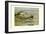 Egyptian and Orinoco Goose-Louis Agassiz Fuertes-Framed Art Print