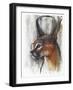 Egyptian (Arabian Caracal), 2009-Mark Adlington-Framed Giclee Print