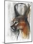 Egyptian (Arabian Caracal), 2009-Mark Adlington-Mounted Giclee Print