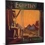 Egyptian Brand - Downey, California - Citrus Crate Label-Lantern Press-Mounted Premium Giclee Print