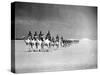 Egyptian Camel Corps-null-Stretched Canvas