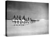 Egyptian Camel Corps-null-Stretched Canvas