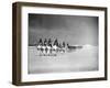 Egyptian Camel Corps-null-Framed Photographic Print