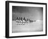 Egyptian Camel Corps-null-Framed Photographic Print