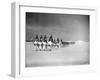 Egyptian Camel Corps-null-Framed Photographic Print