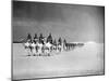 Egyptian Camel Corps-null-Mounted Photographic Print