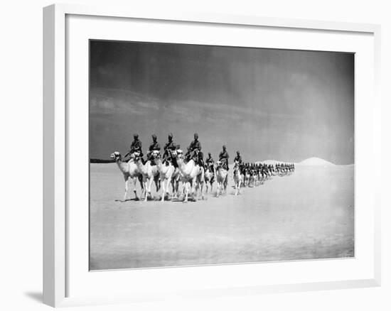 Egyptian Camel Corps-null-Framed Photographic Print