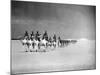 Egyptian Camel Corps-null-Mounted Photographic Print