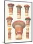 Egyptian Capitals-Owen Jones-Mounted Premium Giclee Print