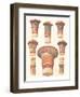 Egyptian Capitals-Owen Jones-Framed Art Print