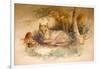 Egyptian Cat, 1851-69-Joseph Wolf-Framed Giclee Print