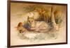 Egyptian Cat, 1851-69-Joseph Wolf-Framed Giclee Print