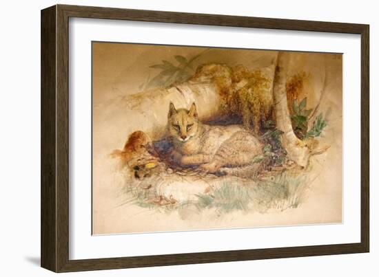 Egyptian Cat, 1851-69-Joseph Wolf-Framed Giclee Print