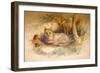 Egyptian Cat, 1851-69-Joseph Wolf-Framed Giclee Print