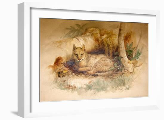 Egyptian Cat, 1851-69-Joseph Wolf-Framed Giclee Print