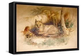 Egyptian Cat, 1851-69-Joseph Wolf-Framed Stretched Canvas