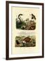 Egyptian Cobra, 1833-39-null-Framed Giclee Print