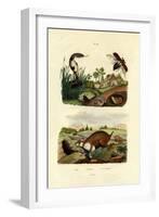 Egyptian Cobra, 1833-39-null-Framed Giclee Print