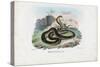 Egyptian Cobra, 1863-79-Raimundo Petraroja-Stretched Canvas