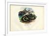 Egyptian Cobra, 1863-79-Raimundo Petraroja-Framed Giclee Print