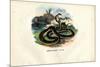 Egyptian Cobra, 1863-79-Raimundo Petraroja-Mounted Giclee Print