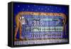 Egyptian Cosmos-null-Framed Stretched Canvas