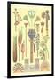 Egyptian Design Motifs-null-Framed Art Print