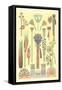 Egyptian Design Motifs-null-Framed Stretched Canvas