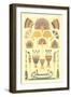 Egyptian Design Motifs-null-Framed Art Print