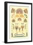 Egyptian Design Motifs-null-Framed Art Print