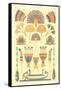 Egyptian Design Motifs-null-Framed Stretched Canvas