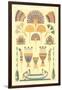 Egyptian Design Motifs-null-Framed Art Print