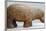 Egyptian Fayence Sculpture of Hippopotamus-null-Framed Photographic Print