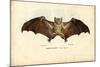 Egyptian Fruit Bat, 1863-79-Raimundo Petraroja-Mounted Giclee Print
