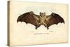 Egyptian Fruit Bat, 1863-79-Raimundo Petraroja-Stretched Canvas