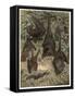 Egyptian Fruit Bat by Alfred Edmund Brehm-Stefano Bianchetti-Framed Stretched Canvas