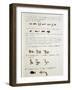 Egyptian Grammar, Chapter I, Plate, Folio 8-Jean Guerard-Framed Giclee Print