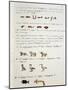 Egyptian Grammar, Chapter I, Plate, Folio 8-Jean Guerard-Mounted Giclee Print