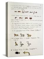 Egyptian Grammar, Chapter I, Plate, Folio 8-Jean Guerard-Stretched Canvas