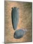 Egyptian Make-Up Accessories, Pre-Dynastic Period, 4th Millennium Bc-R Guillemot-Mounted Photographic Print