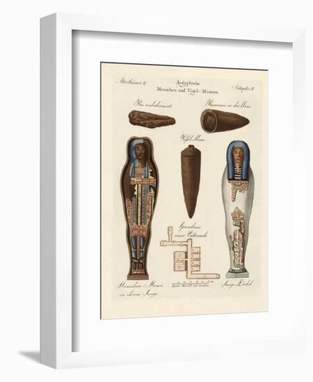 Egyptian Mummies-null-Framed Giclee Print